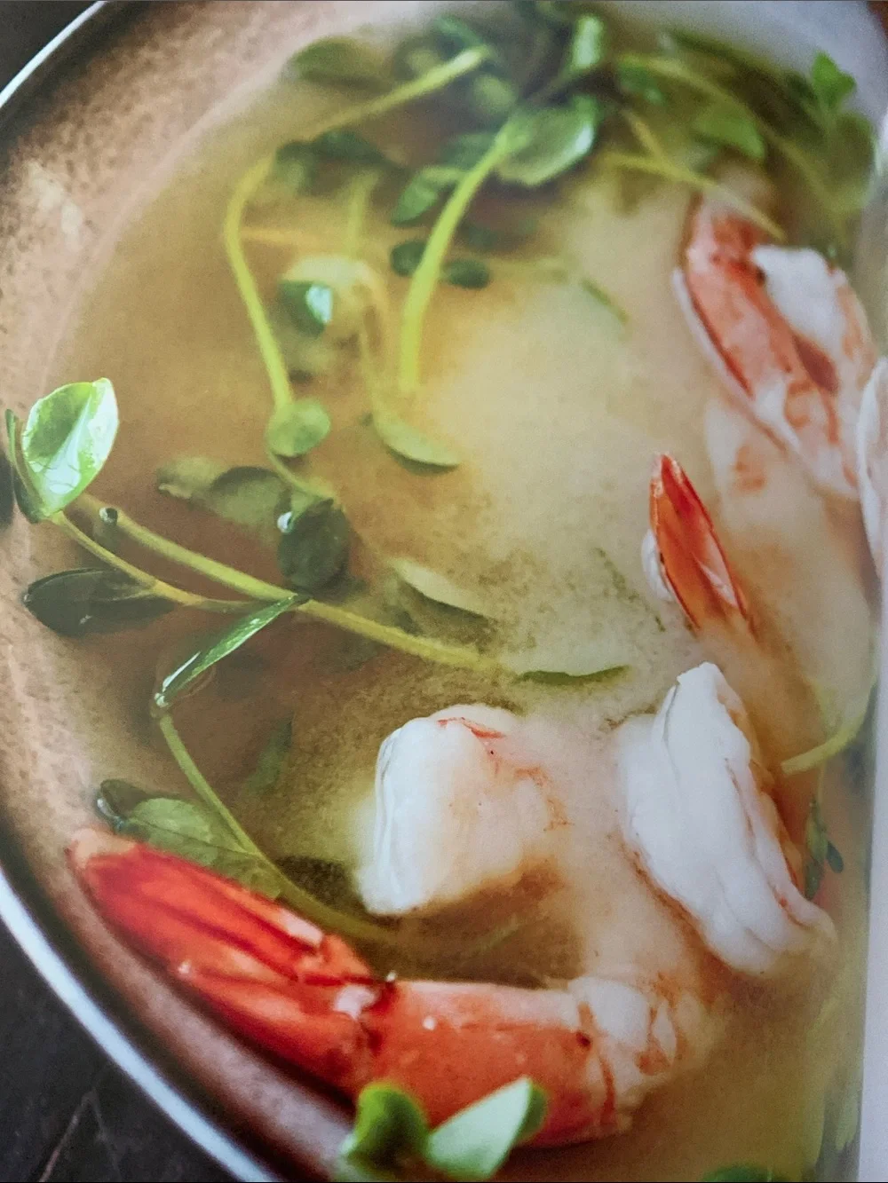 Williams Sonoma Soup of the Day Cookbook